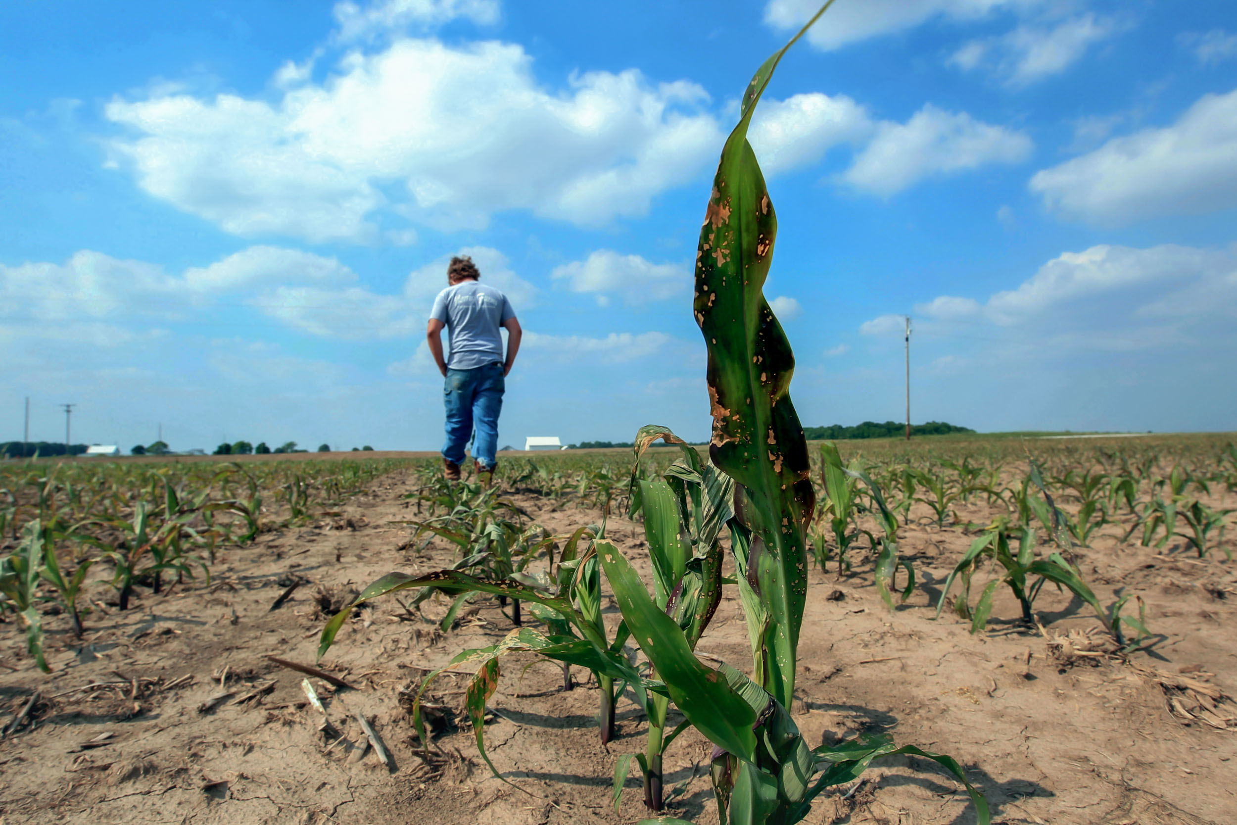 Indiana-Farmer-Climate-Insurance-13-web.JPG